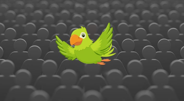 Polly vs Marketing Automation: Elevating Post-Purchase Product Experience