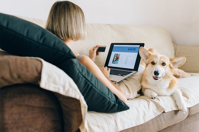 Why Pet Businesses Should Utilize Pet Data for Revenue Growth