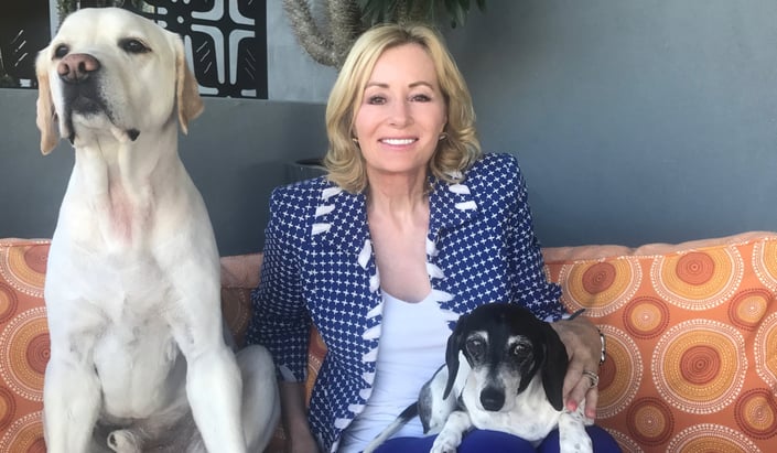 Dr. Fossum’s Pet Care: Paws and Purpose