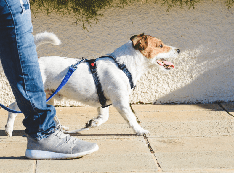 Solutions-CustomerRetention-HERO-min